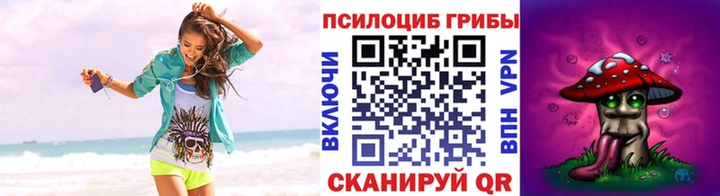 где продают KRAKEN как войти Псилоцибиновые грибы ЛСД Губаха